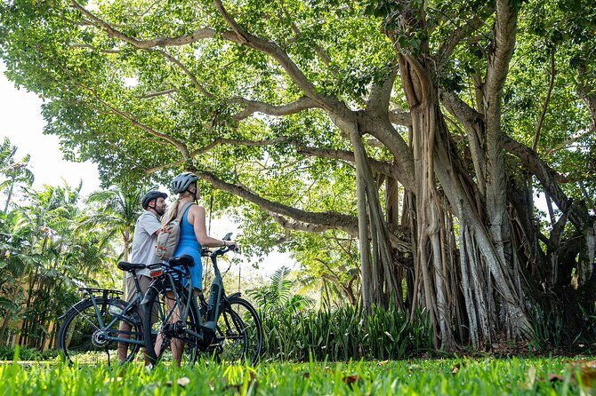 Self Guided E-Bike Tour Key Biscayne Miami's Island Paradise - Practicalities and Tips for Your Ride