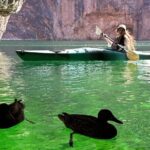 Self-Guided Emerald Cave Kayak Tour from Willow Beach - Who Should Consider This Tour?