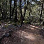 Self Guided Yosemite Walking Tour Explore with Expert Audio Guide - Why This Tour Works