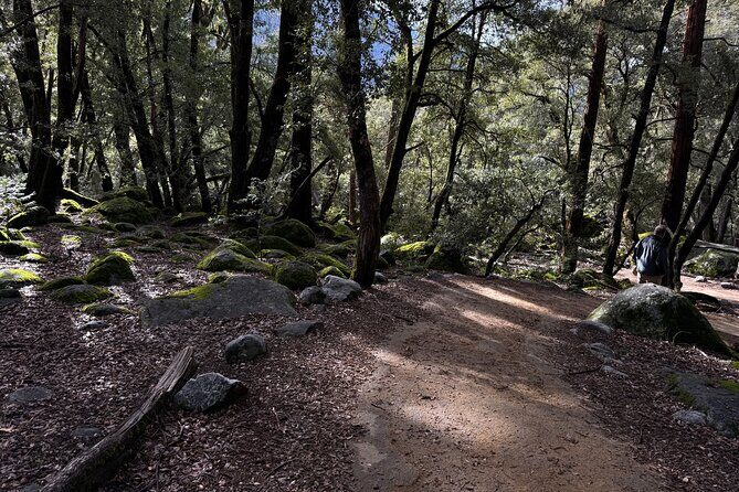 Self Guided Yosemite Walking Tour Explore with Expert Audio Guide - Why This Tour Works