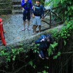 Semi-open and open Xenotes from Cancun - Activities and Their Impact