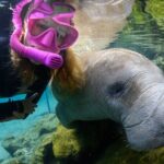 Semi-Private Crystal River Manatee Swim Tour - Carefully Designed Itinerary