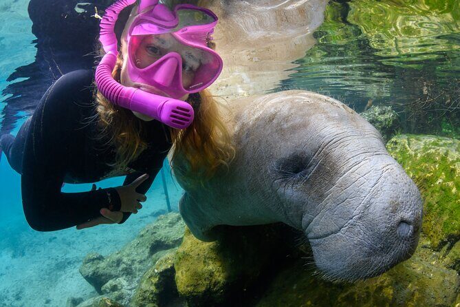 Semi-Private Crystal River Manatee Swim Tour - Carefully Designed Itinerary