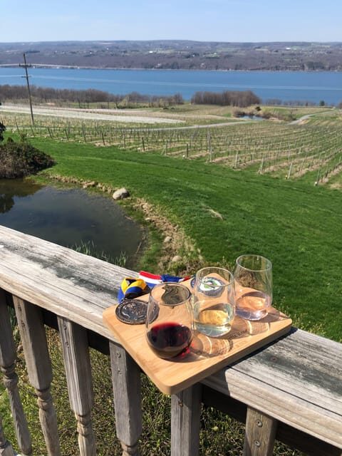 Seneca Lake: Wine Tasting Tour with Lunch - The Practical Side: Transportation, Timing, and Value