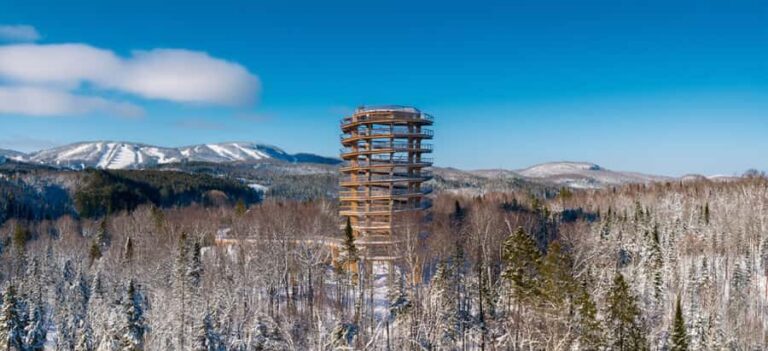 Sentier des cimes Laurentides: Treetop Observatory & Walk - Who Is This Tour Best For?
