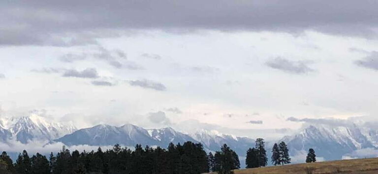 September 2025 British Columbia Rocky Mountain Birding Tour - What Youll Experience Day-by-Day