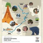 Sequoia and Kings Canyon Audio Tour Self Guide National Park Tour - Who Should Consider This Tour?