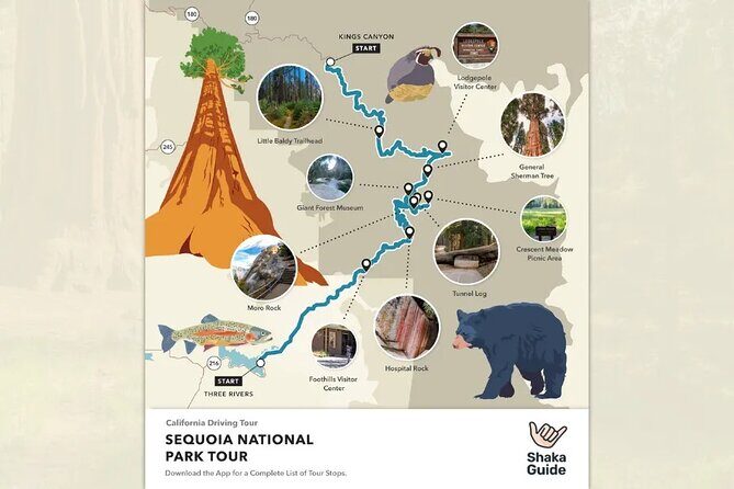 Sequoia and Kings Canyon Audio Tour Self Guide National Park Tour - Who Should Consider This Tour?