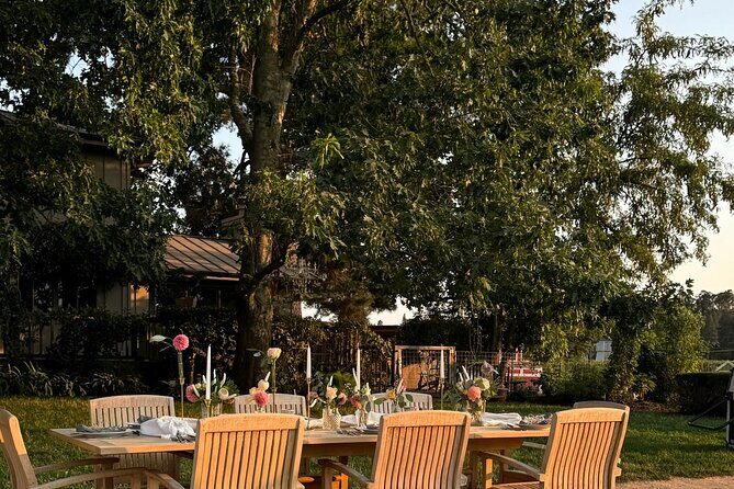 Serene and Romantic Wine Tasting Next to the Vines in Napa Valley - The Tasting Itself: Wines and Privacy