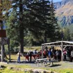 Seward: Exit Glacier Hike & Gold Panning Combo - What Makes This Tour Stand Out