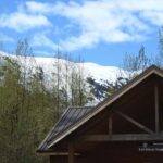 Seward: Exit Glacier Nature Hike with Scenic Views - A Deep Dive Into the Experience
