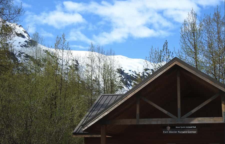 Seward: Exit Glacier Nature Hike with Scenic Views - A Deep Dive Into the Experience