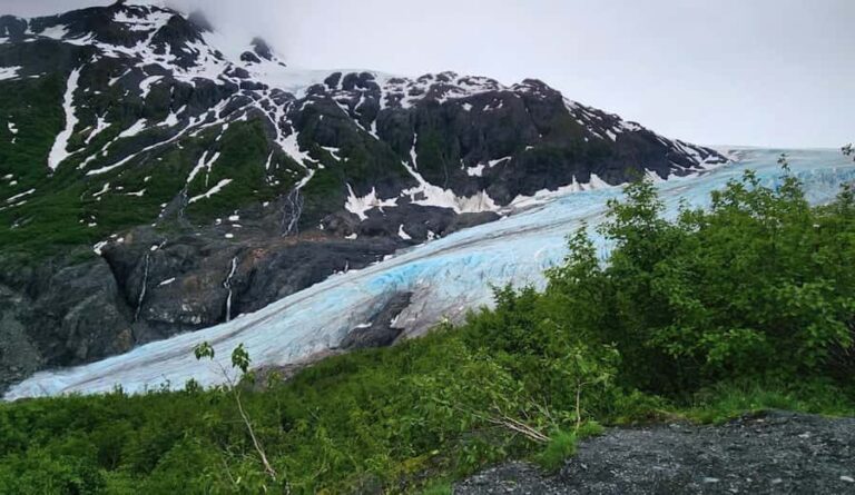 Seward: Guided Marmot Meadows Hike with Lunch - Final Thoughts: Who Should Consider This Hike?