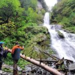 Seward: Kayak to Bridal Veil Falls with Lunch - Who Should Consider This Tour?