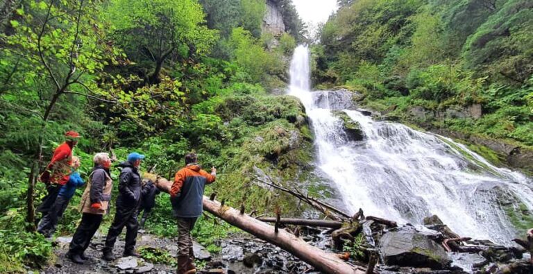 Seward: Kayak to Bridal Veil Falls with Lunch - Who Should Consider This Tour?