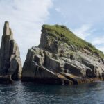 Seward: Kenai Fjords National Park Extended Glacier Cruise - Who Will Love This Tour?