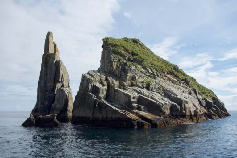 Seward: Kenai Fjords National Park Extended Glacier Cruise - Who Will Love This Tour?