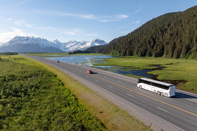 Seward to Anchorage Direct Transfer Tour - What Travelers Say