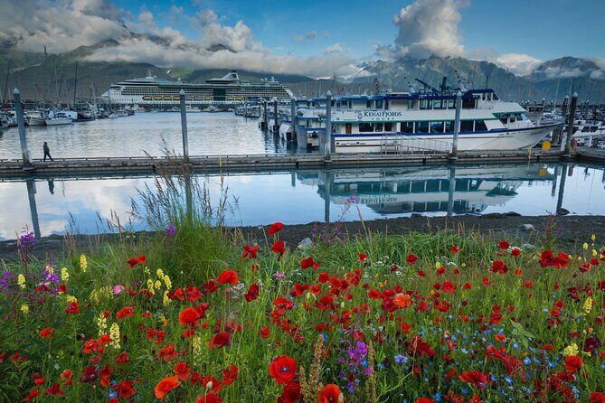 Seward to Anchorage Scenic Transfer Photo Tour - An In-Depth Look at the Experience