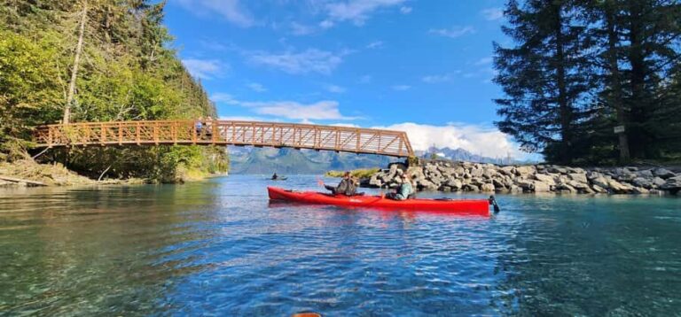 Seward: Tonsina Point Sea Kayaking Trip with Hotel Pickup - Practical Details and Value