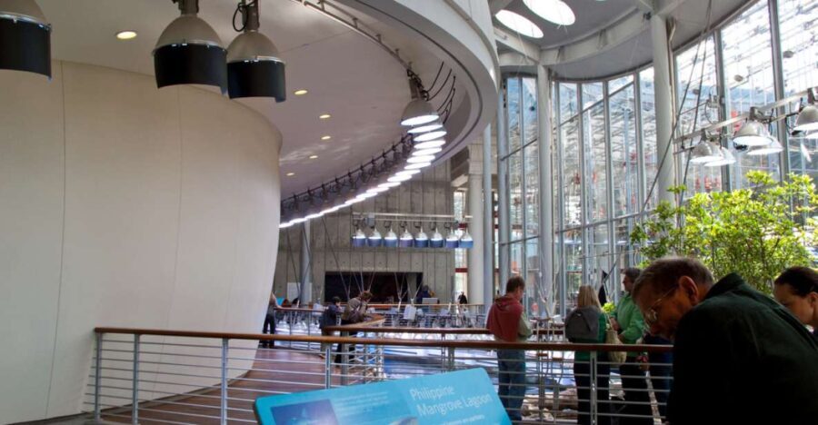 SF: CA Academy of Sciences & Hop-on Hop-off Tour (Save 15%) - Practical Details and Tips