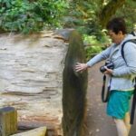 SF: Guided Muir Woods Tour & Hop-On Hop-Off Tour (Save 15%) - Final Thoughts