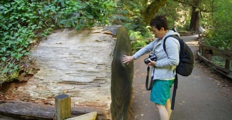 SF: Guided Muir Woods Tour & Hop-On Hop-Off Tour (Save 15%) - Final Thoughts