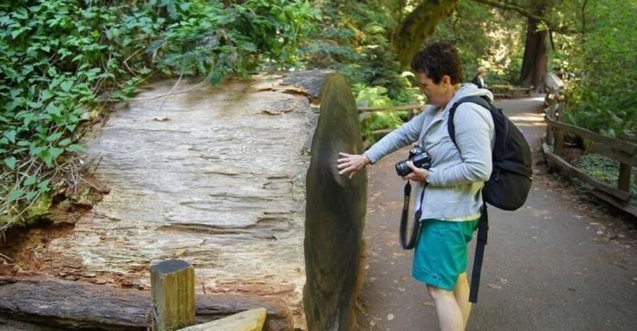SF: Guided Muir Woods Tour & Hop-On Hop-Off Tour (Save 15%) - Final Thoughts