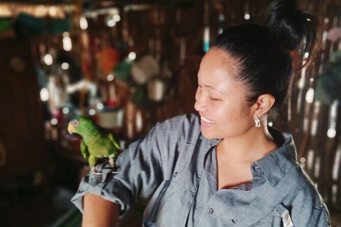 Shamanic Blessing Hidden Cenotes and Village Immersion - Practical Tips for Travelers