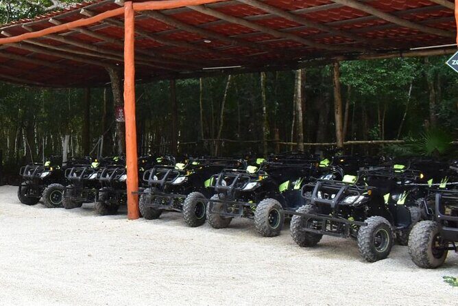 Shared ATV Tour Ziplines and Cenote with Lunch - The Highlights of the Tour