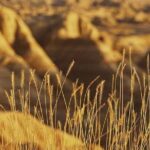 Shared Badlands and Wall Drug Store Experience - The Value of the Experience