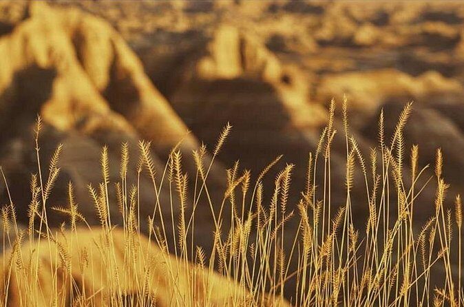 Shared Badlands and Wall Drug Store Experience - The Value of the Experience