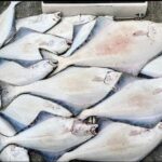 Shared Fishing Adventure in Icy Strait Hoonah Alaska - Practical Tips for Travelers