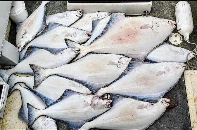 Shared Fishing Adventure in Icy Strait Hoonah Alaska - Practical Tips for Travelers