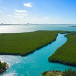 Shared Jungle Speed Boat Tour in Cancun - The Speedboat Experience: Thrills and Scenery