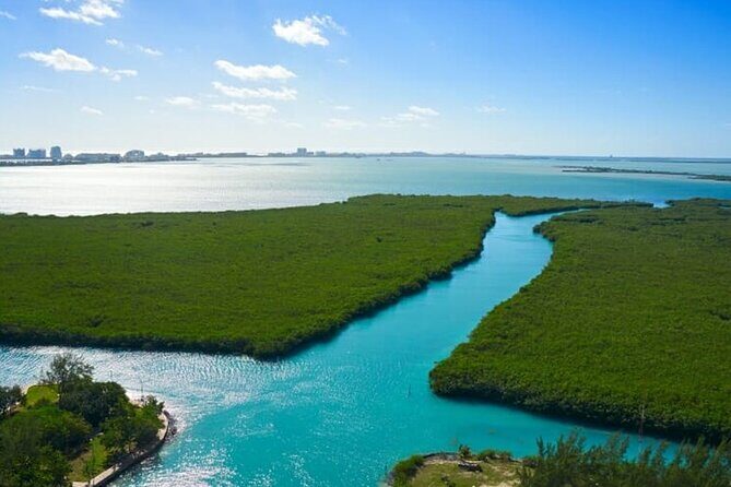 Shared Jungle Speed Boat Tour in Cancun - The Speedboat Experience: Thrills and Scenery