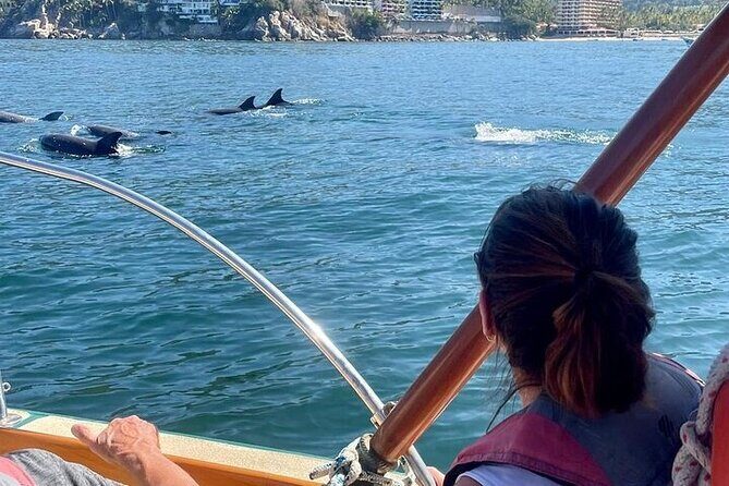 Shared Puerto Vallarta City Tour By The Sea aboard Bruna - What’s Included and How It Adds Value