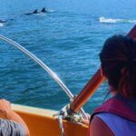 Shared Sailing Adventure Explore Puerto Vallarta by Sea - Authentic Traveler Insights