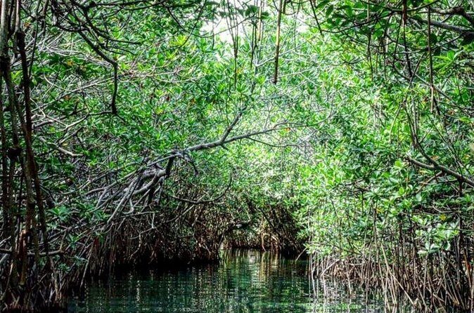 Shared Speedboat and Snorkeling Adventure in Cancun - FAQ