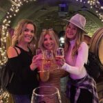 Shared Temecula Wine Tour from Newport Beach - The Practicalities and Value