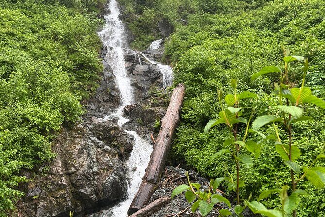 Shared Tour in Sitka with Meal - What Past Travelers Say: Authentic Insights