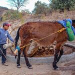 Shared Zapotec Highlights Tour in Oaxaca - Who Should Consider This Tour?