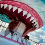Shark Boat Destin Daytime Dolphin Watch and Sunset Cruise - Who Should Consider This Tour?