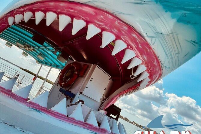 Shark Boat Destin Daytime Dolphin Watch and Sunset Cruise - Who Should Consider This Tour?