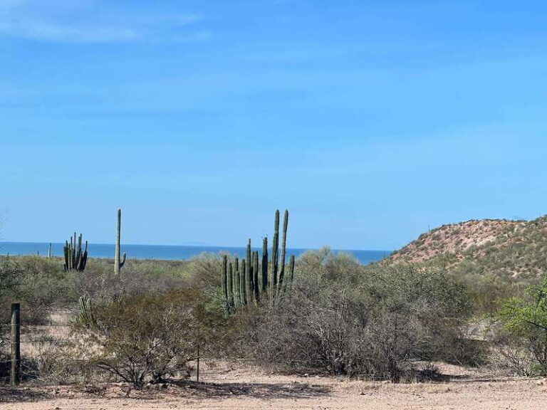 Shark Island: Tour of the largest island in Mexico - Who Will Love This Tour?