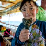 Shark Tooth Snorkeling Adventure and Huka Dive in Venice Florida - The Itinerary: What to Expect