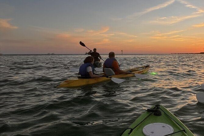 Sharkeys Glass Bottom Fish Feeding LED Night Tour Key West - Practical Details: What to Know Before You Go