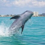 Shell Island Nature & Marine Viewing Tour - Who Will Enjoy This Tour?