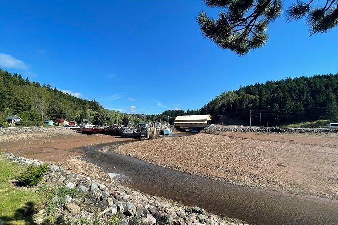 Shore and Hopewell Rocks Guided Tour - How This Tour Offers Value for Your Dollar