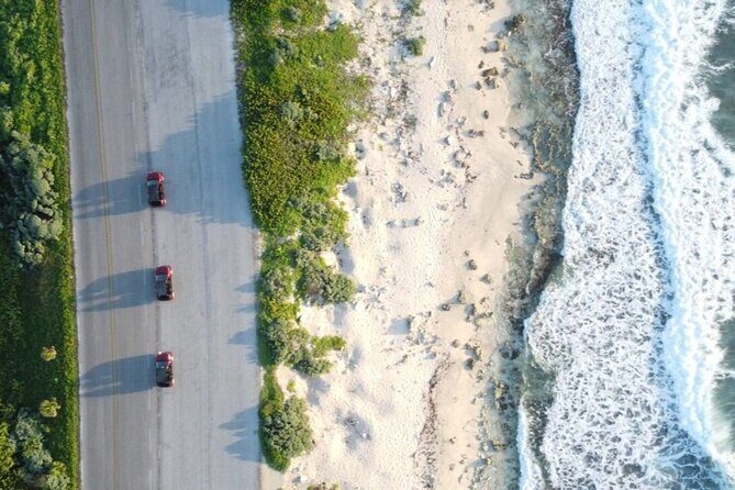 Shore Excursion: Buggy Tour, Punta Sur Park & Beach Relaxation - How It Compares to Other Cozumel Tours